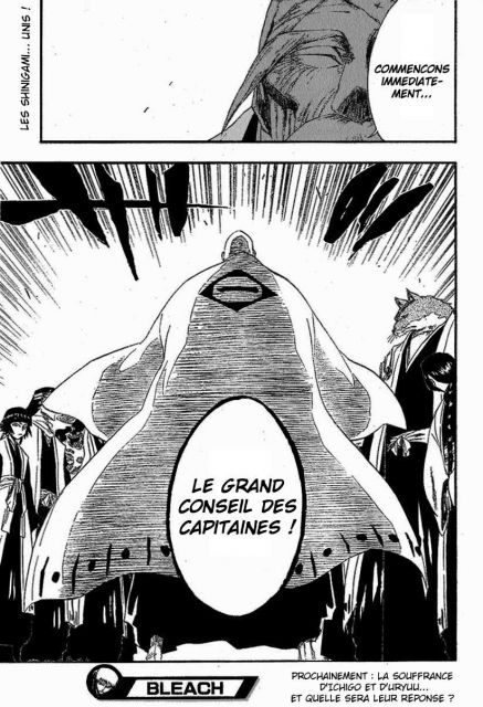 bleach-ch188-19.jpg