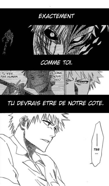 bleach-ch189-02.jpg