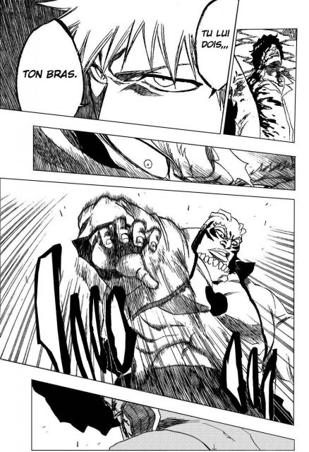 bleach-ch193-11.jpg