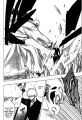 bleach-ch193-10.jpg
