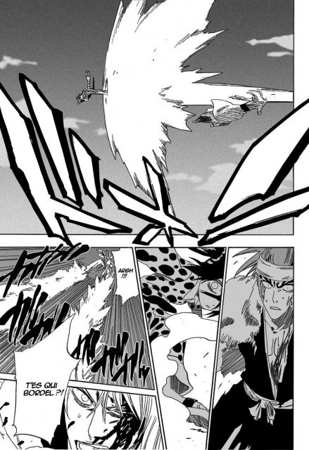 bleach-ch207-13.jpg