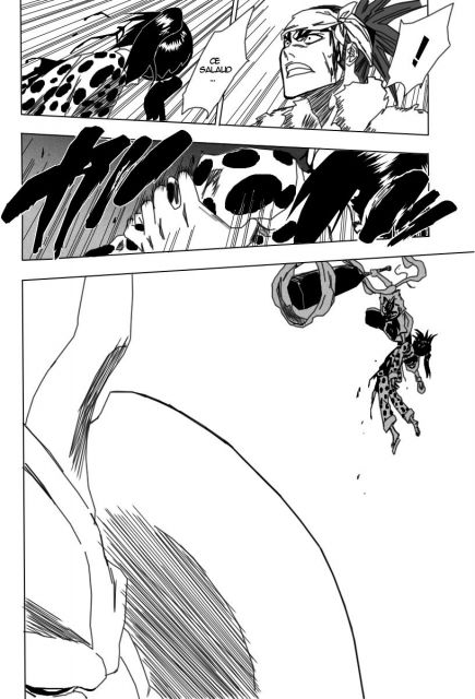 bleach-ch208-02.jpg