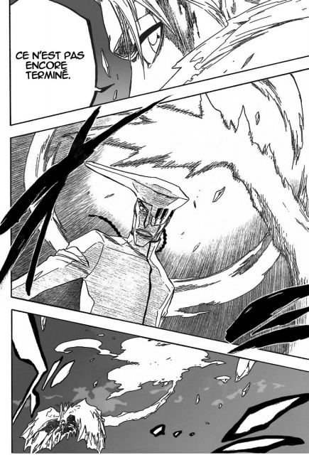 bleach-ch208-10.jpg