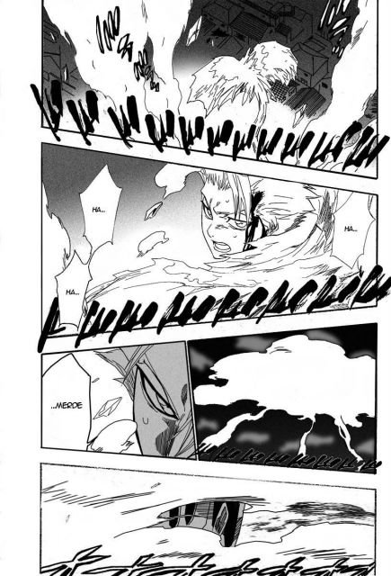 bleach-ch208-11.jpg