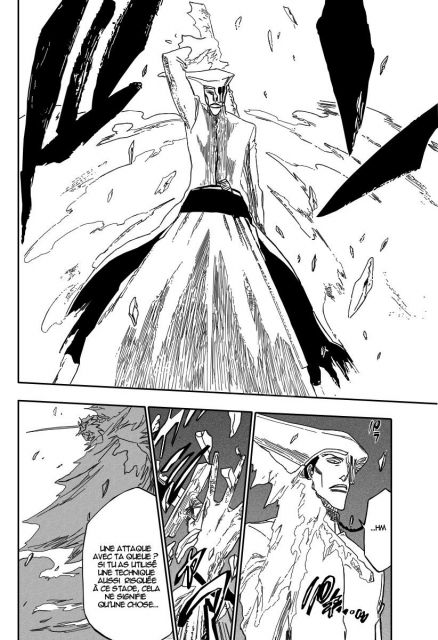 bleach-ch208-12.jpg