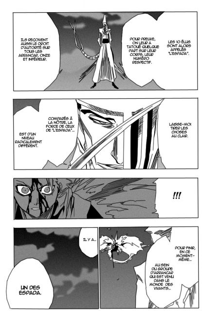 bleach-ch209-10.jpg