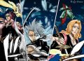 bleach-ch210-18-19.jpg