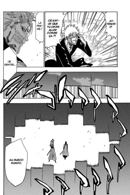 bleach-ch212-11.jpg