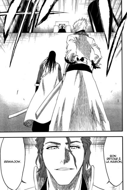 bleach-ch213-09.jpg