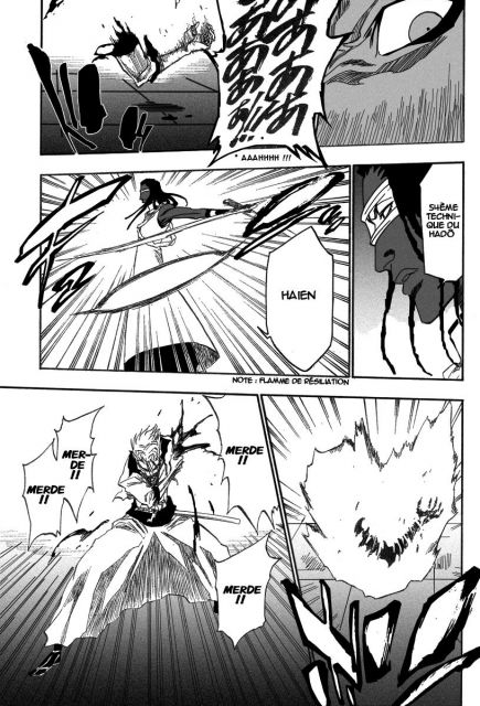 bleach-ch213-15.jpg
