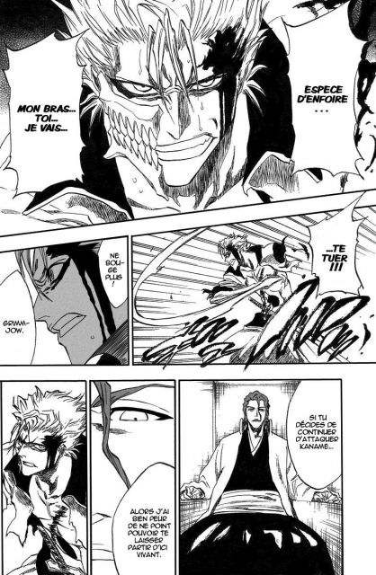 bleach-ch213-16.jpg