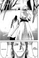 bleach-ch213-09.jpg