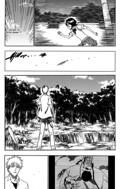 bleach-ch214-10.jpg