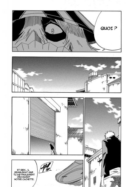 bleach-ch214-17.jpg