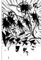 v32_ch283_FR_page_18.png