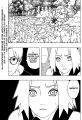 v33_ch295_FR_page_17.png