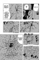 ch302_FR_Page_07.png