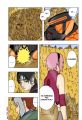 chap310_p05_GFC.jpg