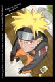 chap319_p01.jpg